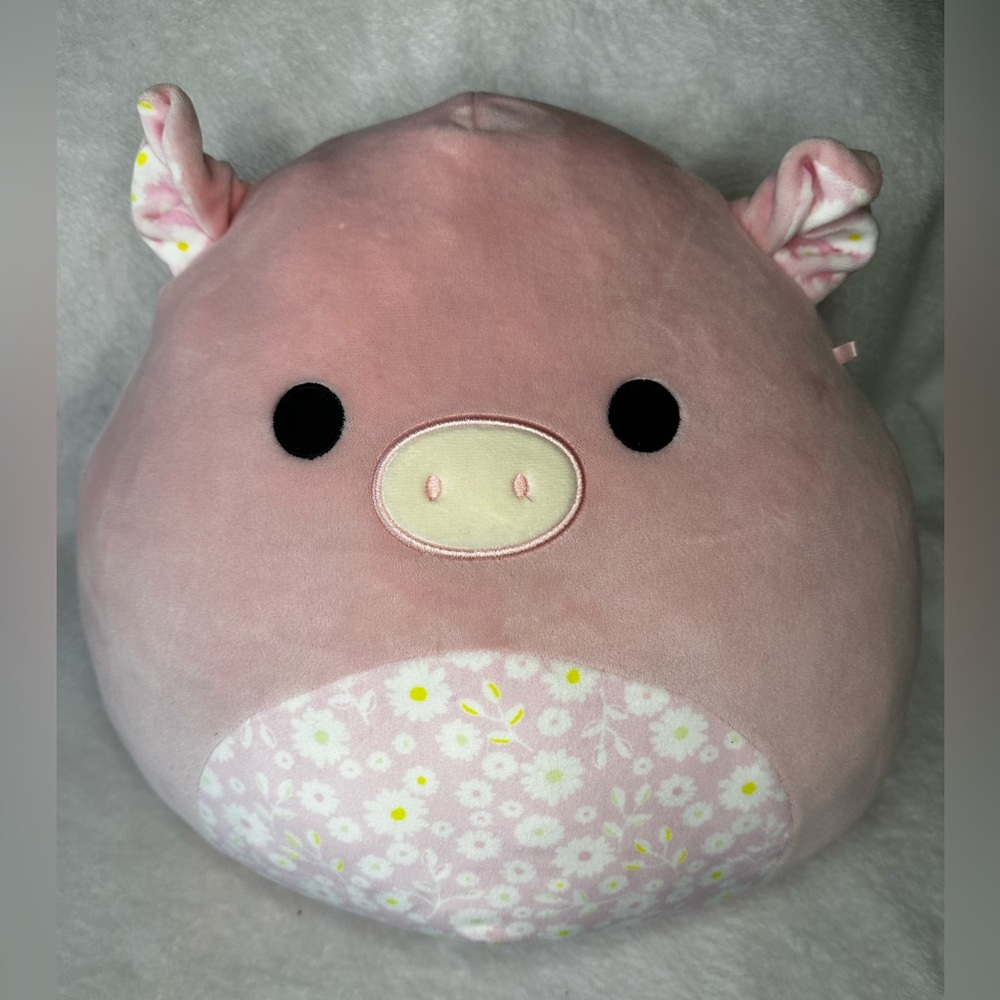 🐷NWOT PETER the PIG SQUISHMALLOW